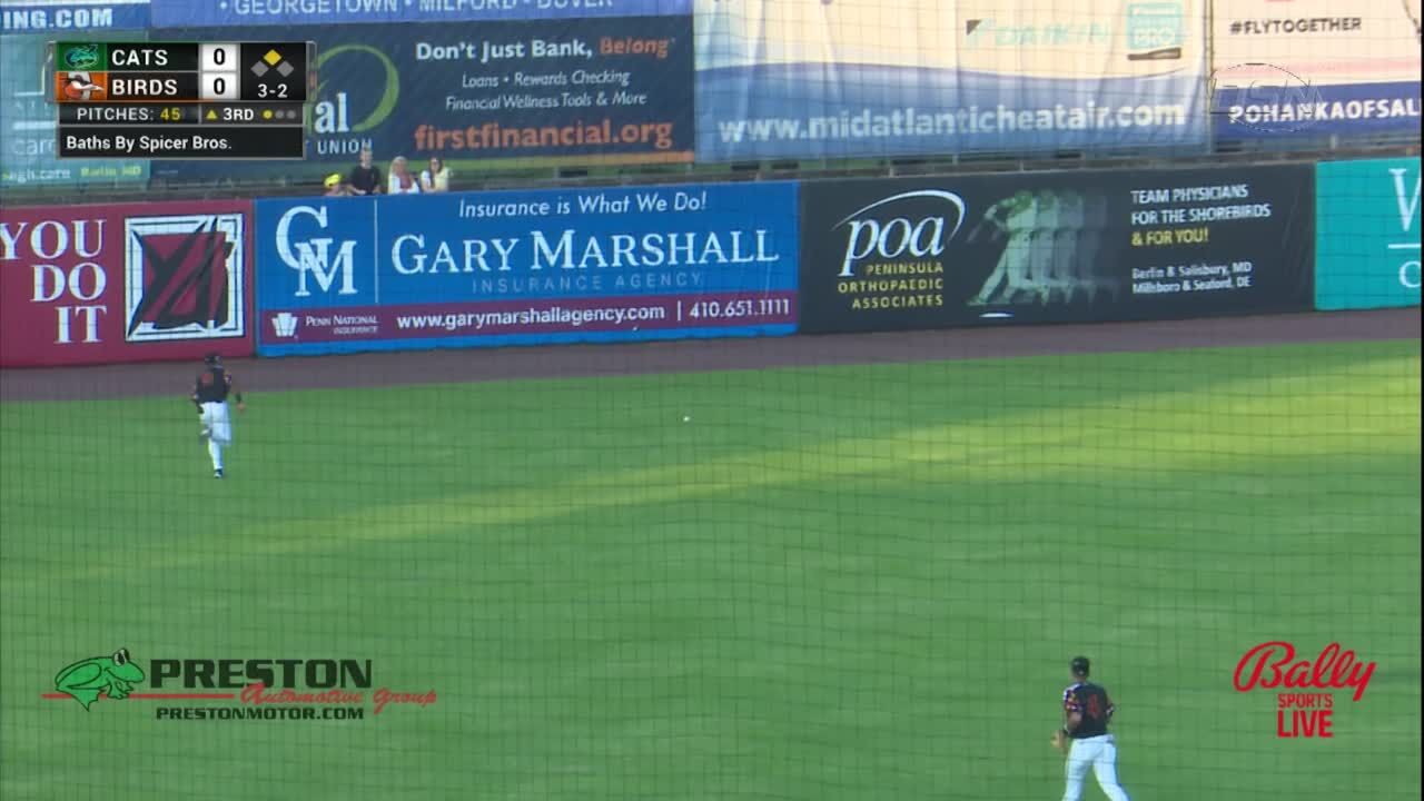 HIGHLIGHTS: Shorebirds Fall To The Hillcats 2-1.